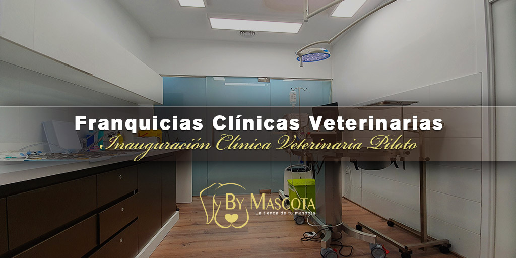Inauguración Franquicias clínicas veterinarias