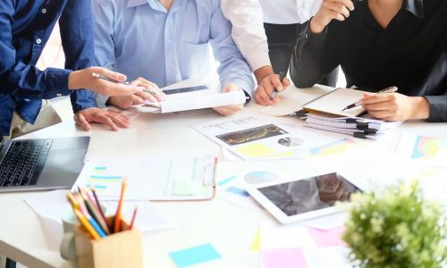 Es-rentable-abrir-una-tienda-de-mascotas